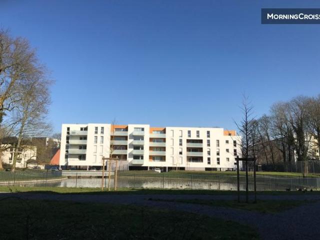 T2 lumineux proche CHR et Lille