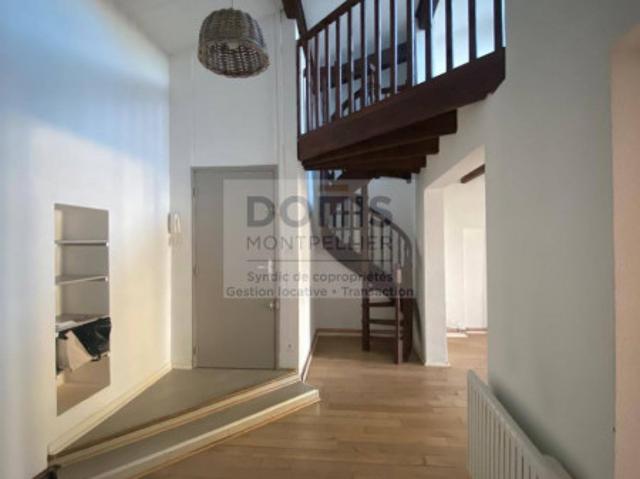 T2 + mezzanine LUNEL VIEL
