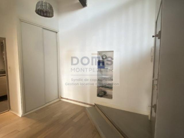 T2 + mezzanine LUNEL VIEL
