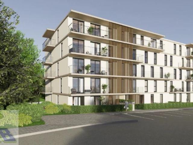 T2 Oliveira de Azemeis