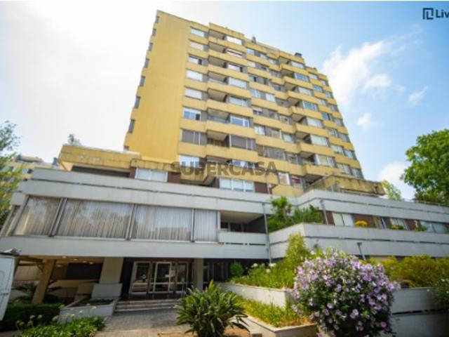 T3+1 com Terraço no Foco Boavista