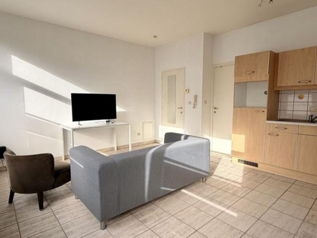 't Zuid ∣ Aangenaam appartement 1 slaapkamer