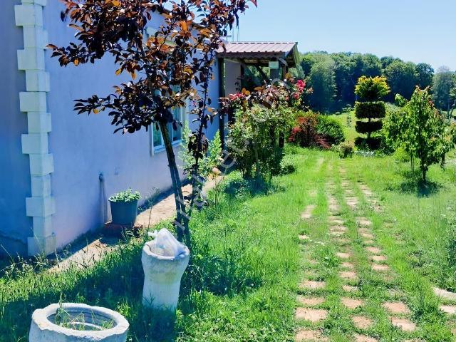 Taşlıgeçit Mahallesinde 2 Dönüm Arsa İçinde Müstakil Ev