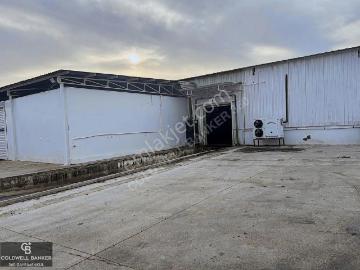 Dağkızılca, Torbalı, İzmir ili, Ege Bölgesi