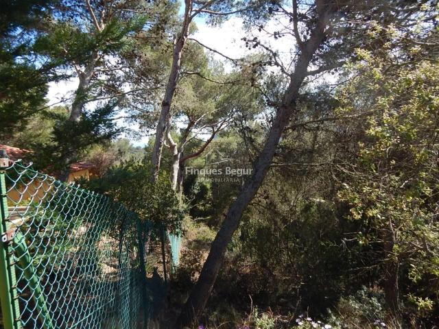 Tamariu, Parcela urbana de 865 m² con orientación sur a 1 km. 865m² Palafrugell