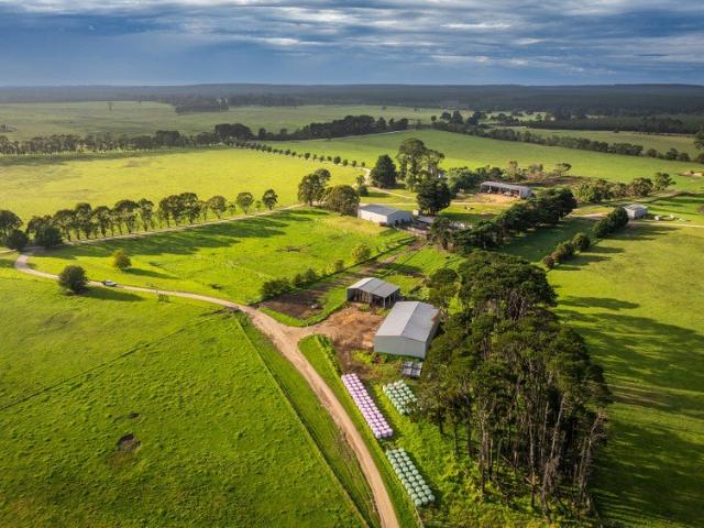 'Tanjil' One of the Region's Most Notable Holdings