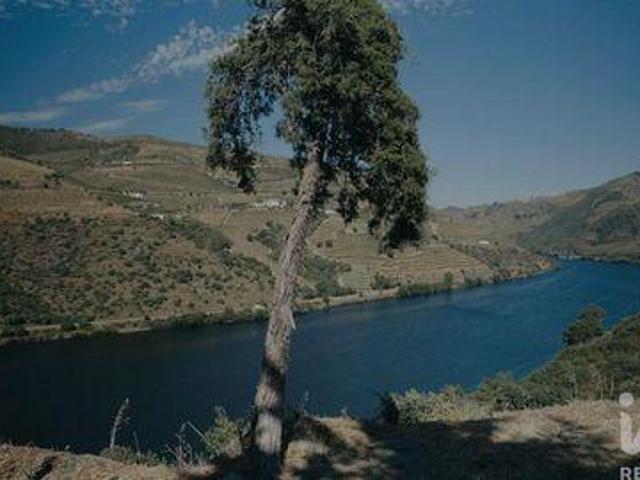 Tabuaco Viseu 105747572