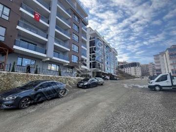 Eriklimanı, Giresun, Giresun ili, Karadeniz Bölgesi