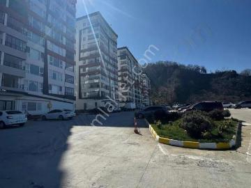 Giresun, Giresun ili, Karadeniz Bölgesi