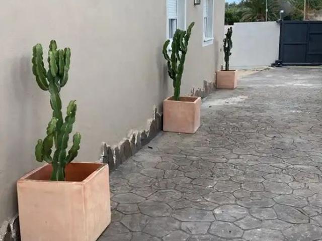 Tacoronte