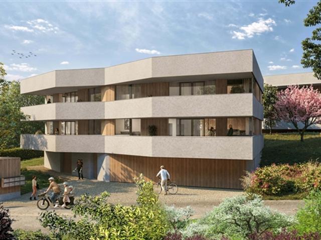 LAUSANNE LISIERE – TÜRENÖFFNUNG MITTERWACHSEN AM MITTWOCH, 10. UND 17. JUNI – NACH VORABMITTLUNG
