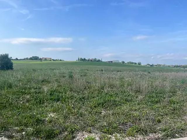 Taïx 81130 Programme neuf maison neuf à vendre 4 pièces