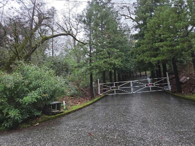 Tall Pines Ct