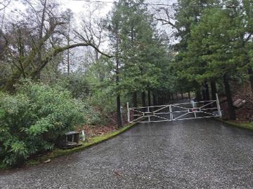 Tall Pines Ct