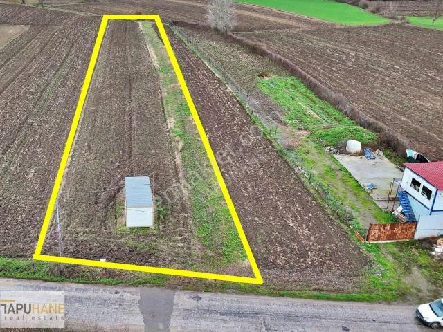 Tapuhane'den A. Çalıca Köyünde 2598 M2 Arsa İçinde Konteyner
