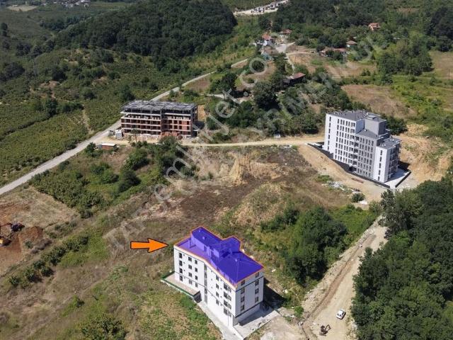Tapuloji'den Üniversite'de Kiralık Sıfır 1+1 Daire