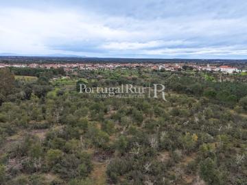 Oportunidade de Investimento Rural no Alto Alentejo