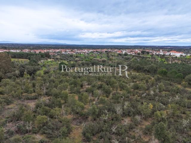 Oportunidade de Investimento Rural no Alto Alentejo