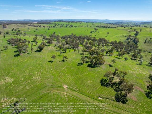 Tarwynn View | Productive Country with Water & Views