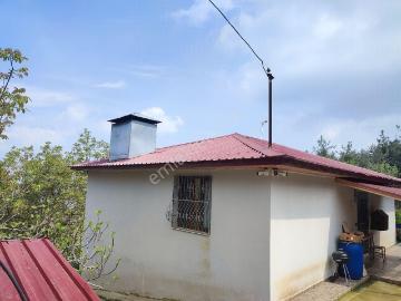 Tarsus Boztepe De Yaylalık Müstakil Satılık Eşyalı Ev