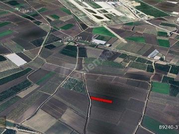 Tarsus, Mersin ili, Akdeniz Bölgesi - Open space