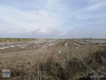 Tarsus, Mersin ili, Akdeniz Bölgesi - Open space