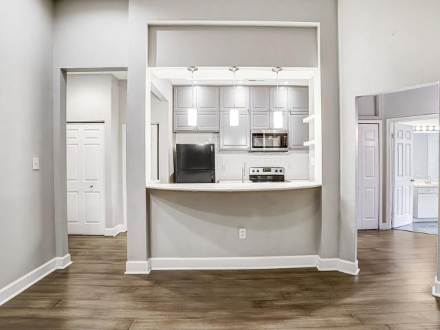 Tasteful 1BR Condo with Jacuzzi Tub, Fireplace & Classic DC Charm