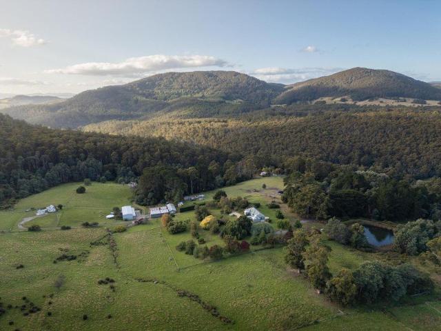 Tasma Vale c.1885 A living story, cultivated over six generations
