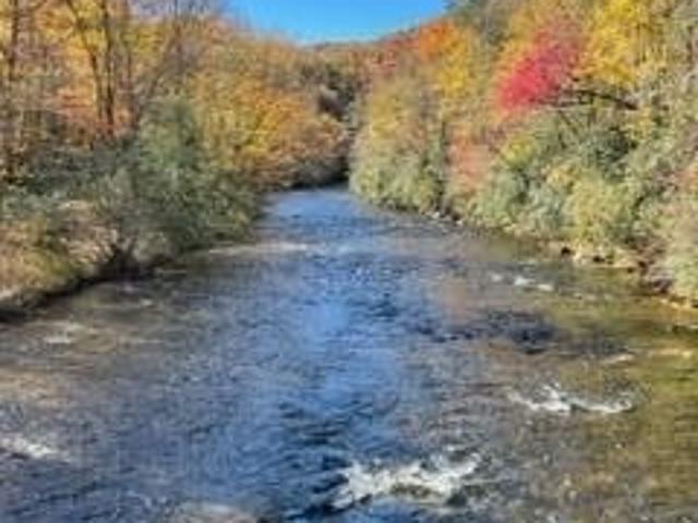 Tate Cove Rd Lot,hayesville, Plot For Sale