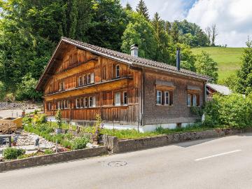 Tätschdachhaus mit Schopf und weitläufigem Grundstück