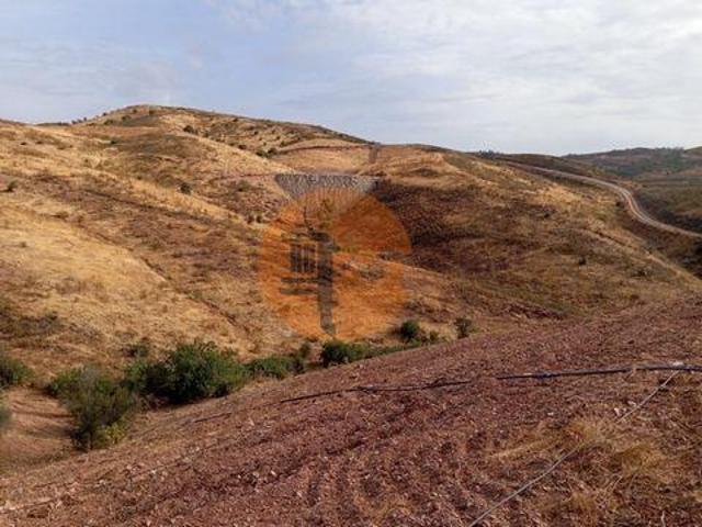 Tavira Faro 8800 064 96319778
