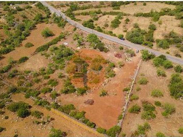 Tavira Faro 8800 154 93754017