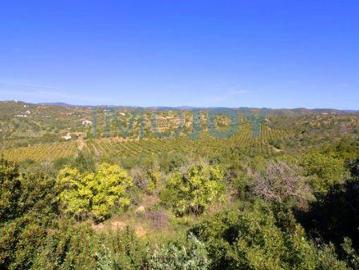 Tavira Faro 8800 509 96328996