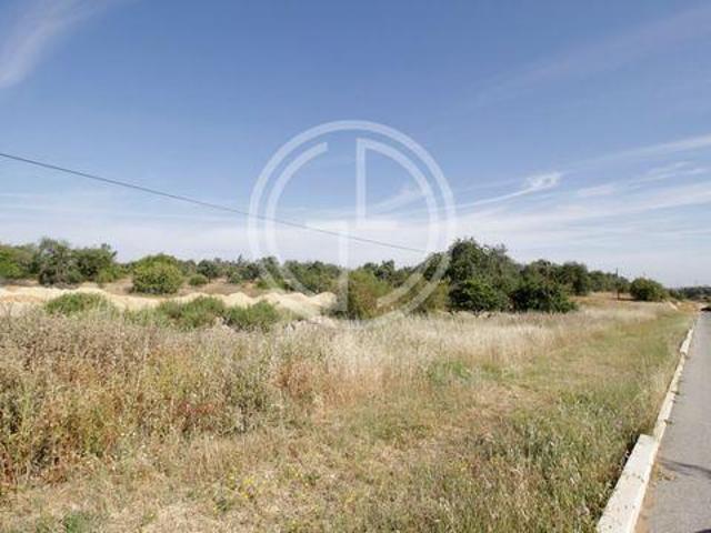 Tavira Faro 8800 97112813