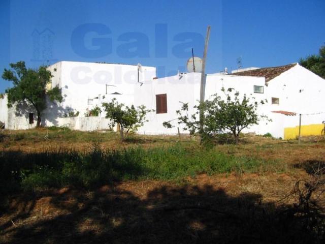 Tavira Tavira 97124712