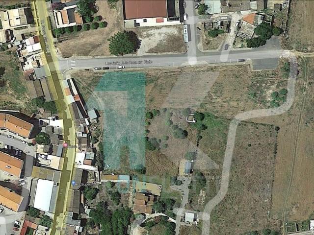 Tavira Tavira 98277491
