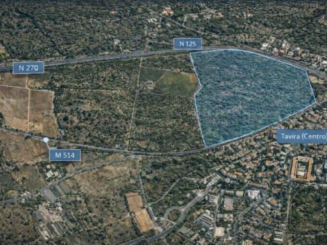 Tavira Tavira 98963658