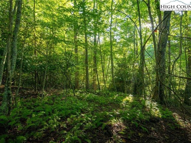 252 Boulder Ln, Boone, NC