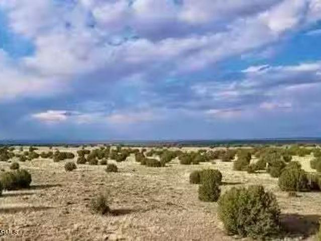 Tbd F #, Adamana, AZ 85634 MLS 6838615