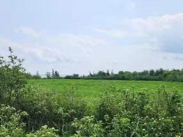 Tbd Hebron Road, Milo, PE, C0B 1V0 vacant land for sale Lis.