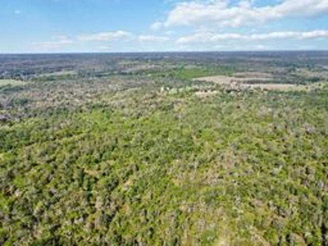 Tbd High Grove Rd, Cedar Creek, TX 78612 | MLS #8458