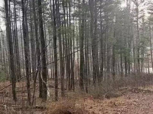 Tbd Lot 468 Skyline Rd, West Jefferson, NC 28694 MLS 259706