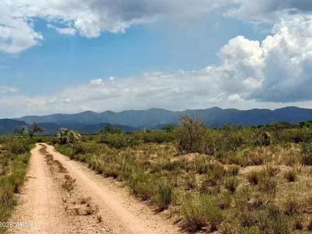 Tbd S Poppy Ln #30, Pearce, AZ 85625 MLS 7061995