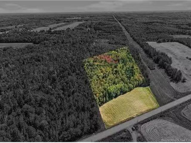 Tbd Route 115, Mckees Mills, NB, E4V 2V8 vacant land for sal.