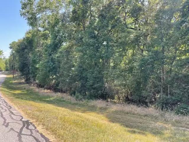 Tbdd Valleyview Dr, Onalaska, TX 77360 MLS 39346931