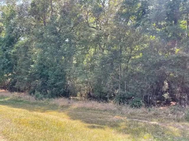Tbddd Valleyview Dr, Onalaska, TX 77360 MLS 63721157