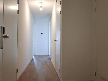 Laak, Den Haag, Den Haag, Zuid-Holland