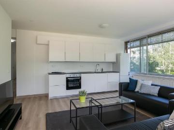 Olland, Meierijstad, Noord-Brabant