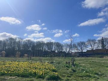 Olland, Meierijstad, Noord-Brabant - Opslagruimte