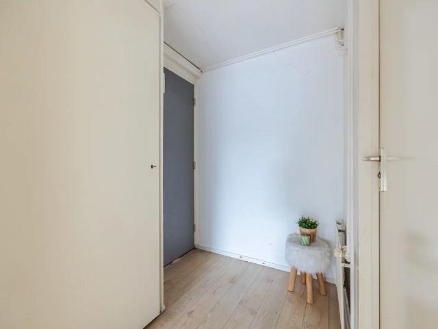 Te huur: Appartement Nieuwstraat in Terneuzen